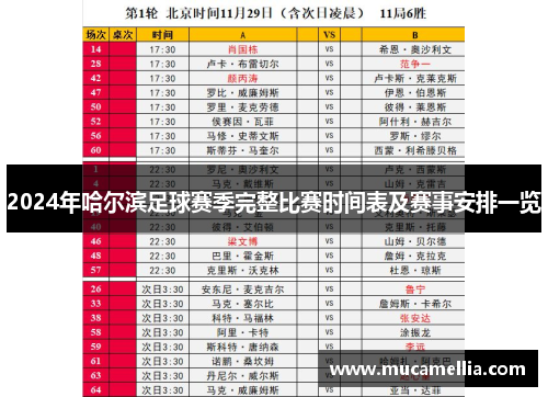 2024年哈尔滨足球赛季完整比赛时间表及赛事安排一览