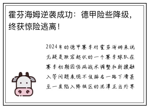 霍芬海姆逆袭成功：德甲险些降级，终获惊险逃离！
