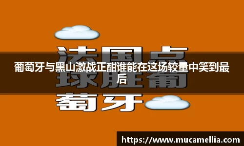 意昂体育葡萄牙与黑山激战正酣谁能在这场较量中笑到最后